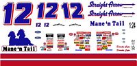 SCF1172 #12 Derrike Cope Bobby Allison built Mane & Tail Thunderbird