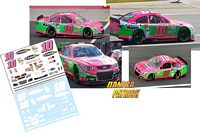 SCF1743 #10 Danica Patrick Breast Cancer Awareness Chevy