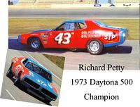 DC-1973-C #43 Richard Petty 73 Daytona 500 winning Dodge Charger